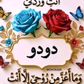 amichouireb@gmail.com